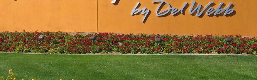 homes for sale in sun city festival